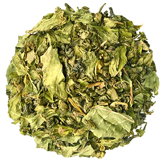 Groene thee als assortimentvoorbeeld van Alveus
